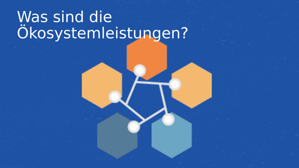 Was sind die Ökosystemleistungen?