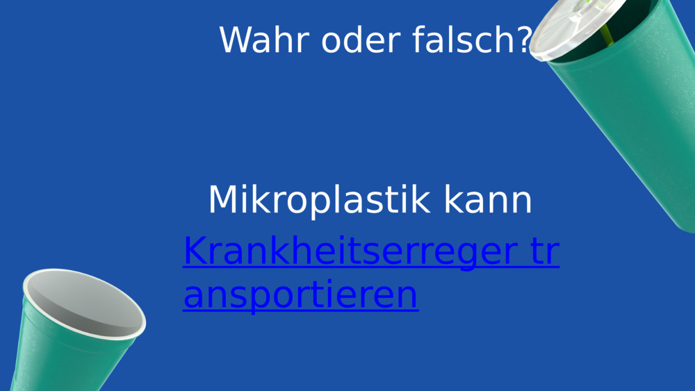 Wahr oder falsch?