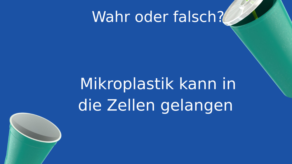 Wahr oder falsch?