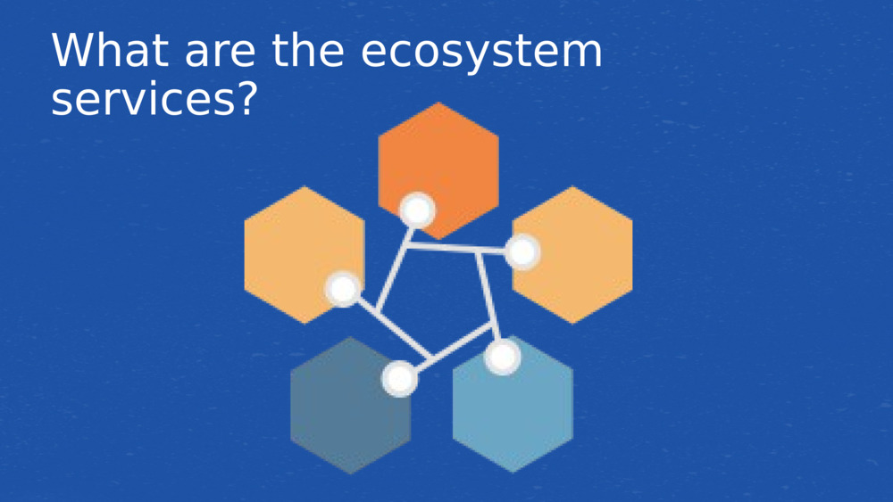 What are the ecosystem services?