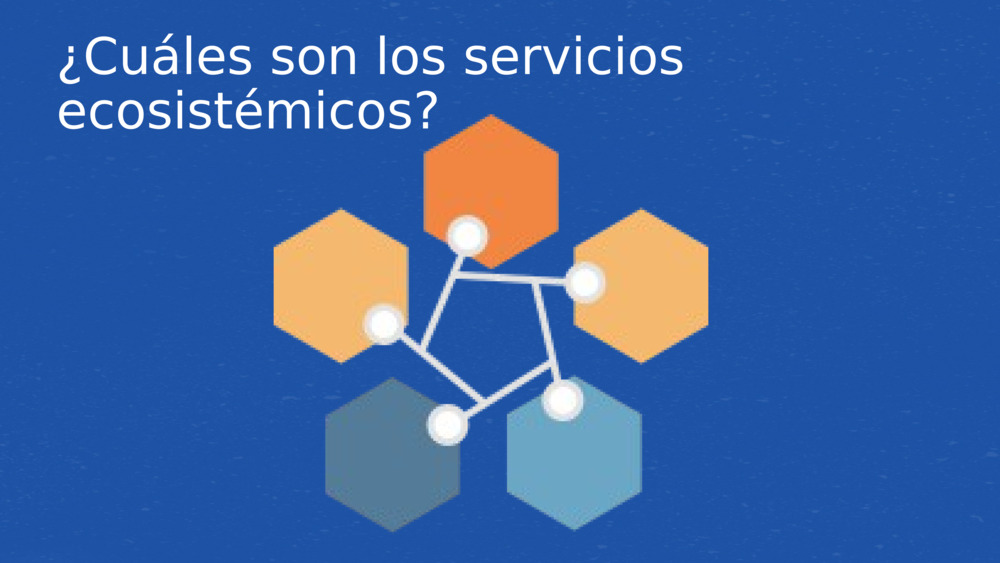 ¿Cuáles son los servicios ecosistémicos?