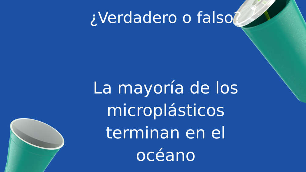 ¿Verdadero o falso?