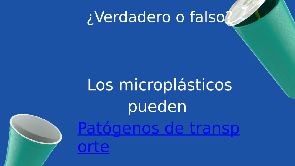 ¿Verdadero o falso?