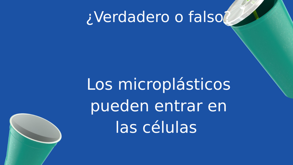 ¿Verdadero o falso?