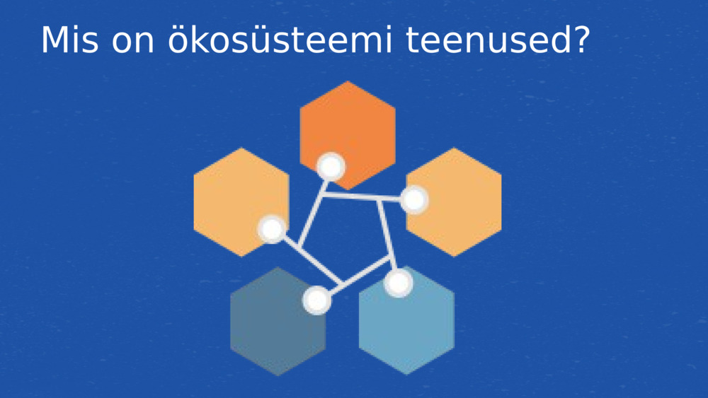 Mis on ökosüsteemi teenused?