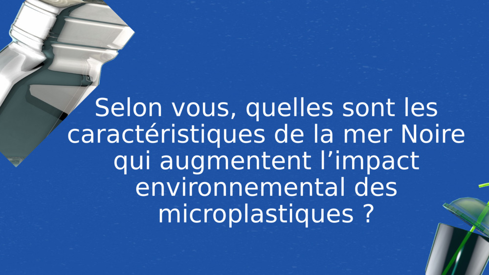 Selon vous, quelles sont les caractéristiques de la mer Noire qui augmentent l’impact environnemental des microplastiques ?