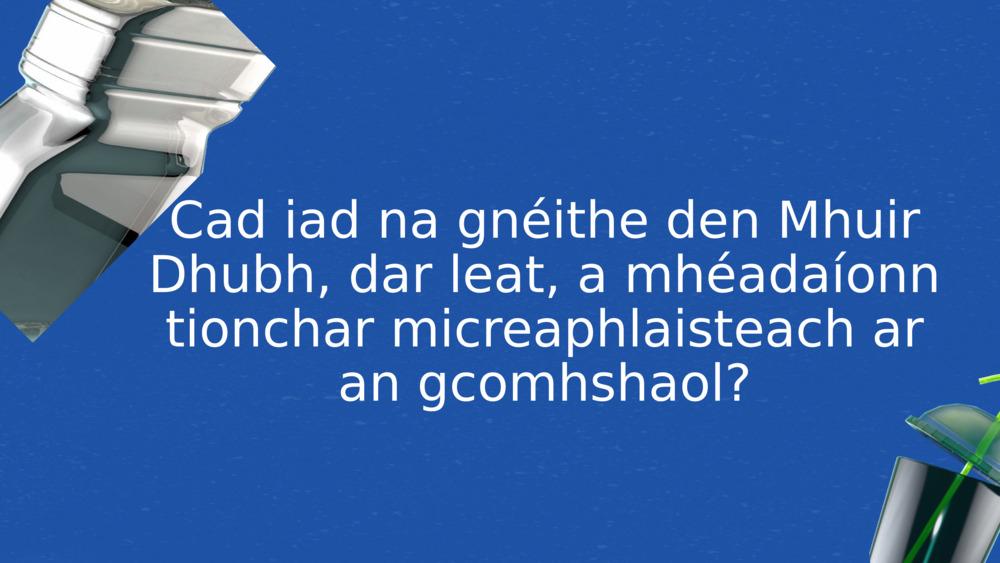 Cad iad na gnéithe den Mhuir Dhubh, dar leat, a mhéadaíonn tionchar micreaphlaisteach ar an gcomhshaol?