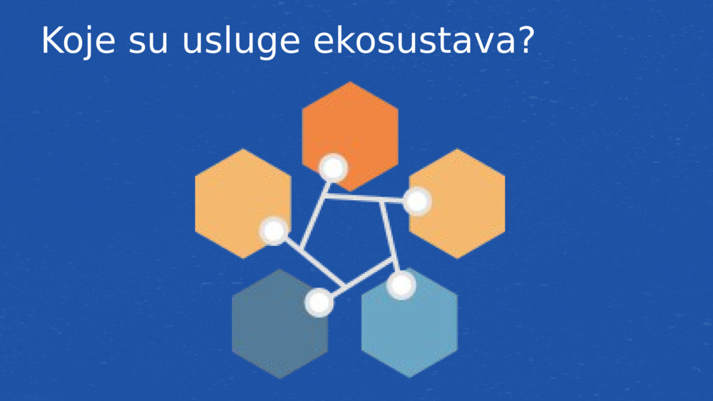 Koje su usluge ekosustava?