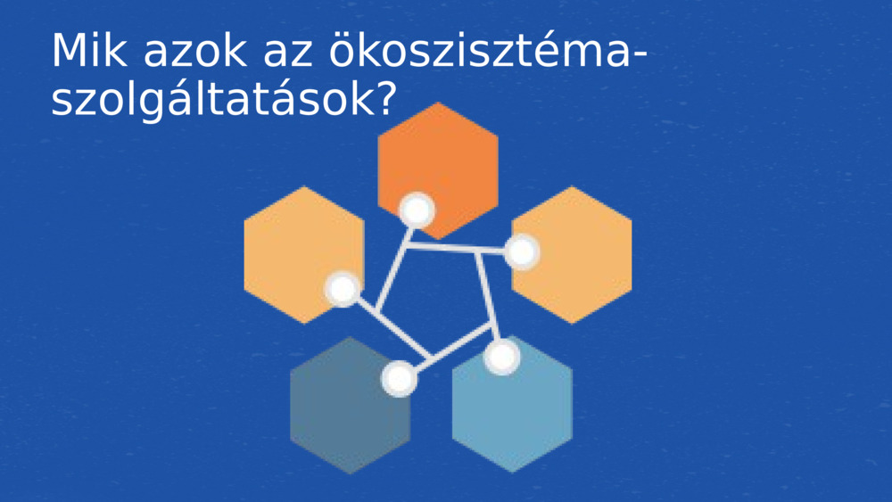 Mik azok az ökoszisztéma-szolgáltatások?