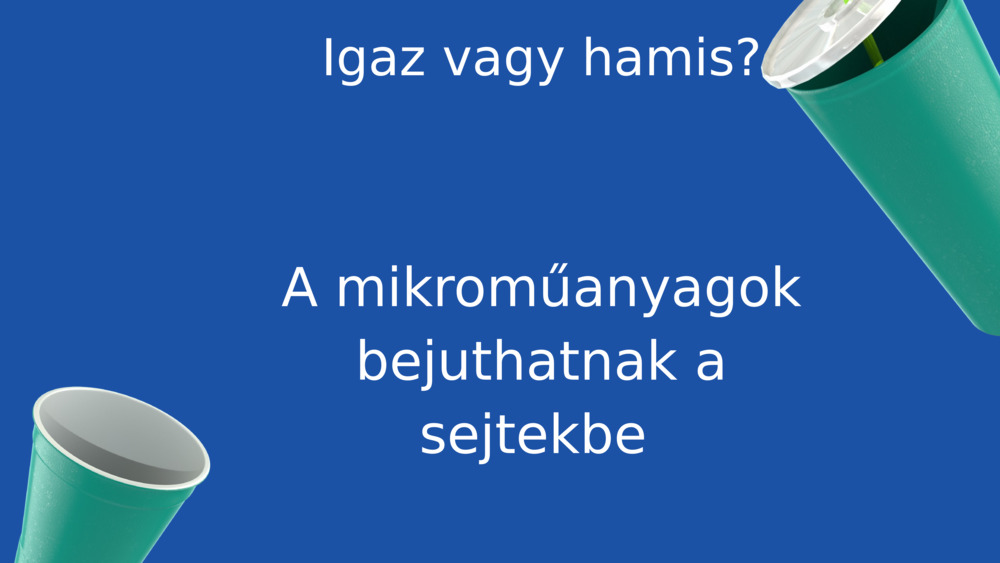 Igaz vagy hamis?