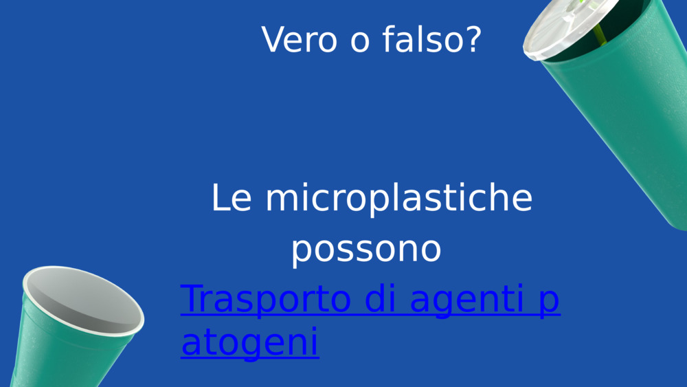 Vero o falso?