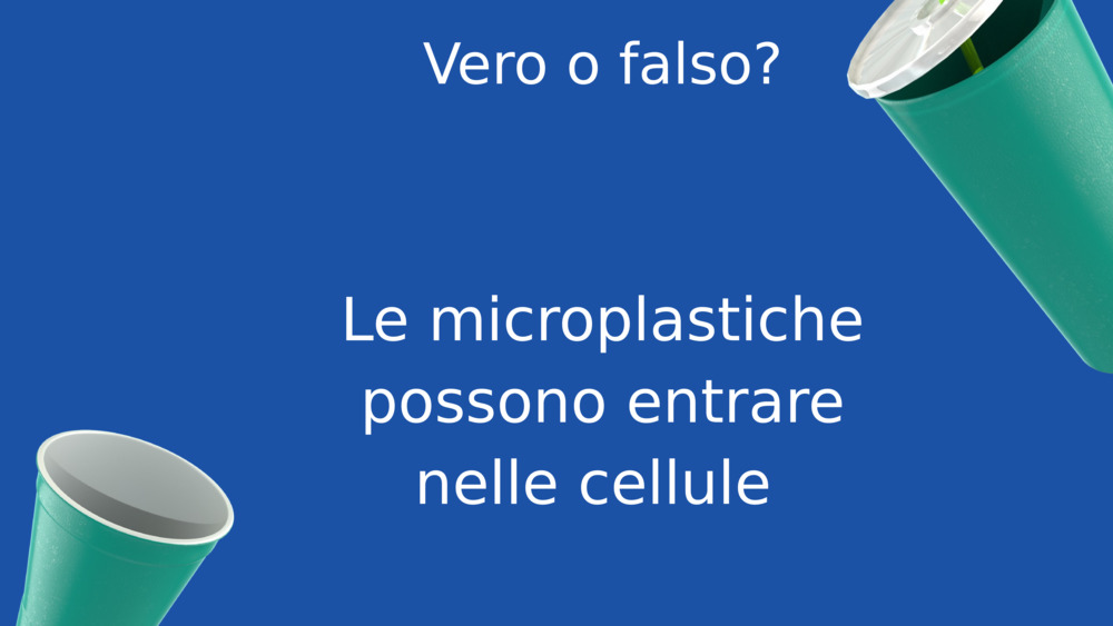 Vero o falso?