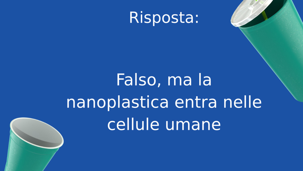 Microplastica nel Mar Nero