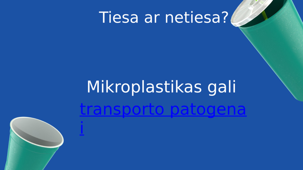 Tiesa ar netiesa?