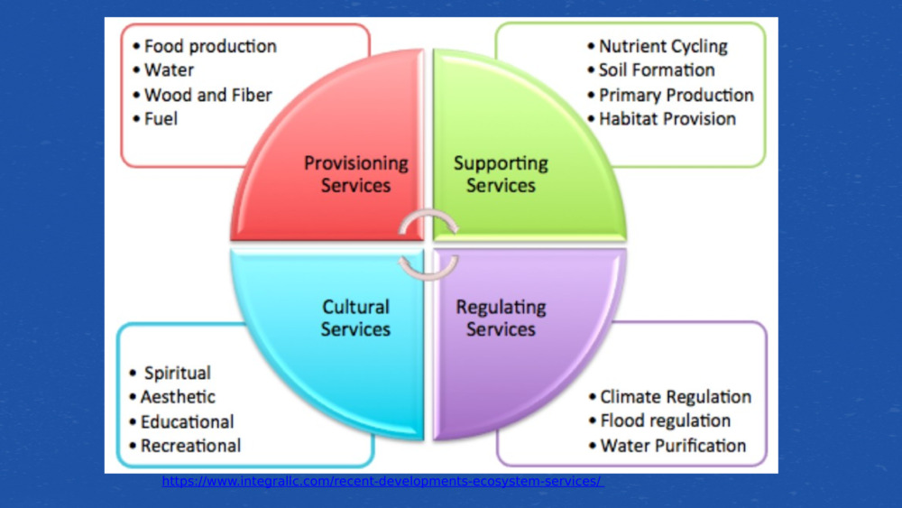 https://www.integrallc.com/recent-developments-ecosystem-services/ 