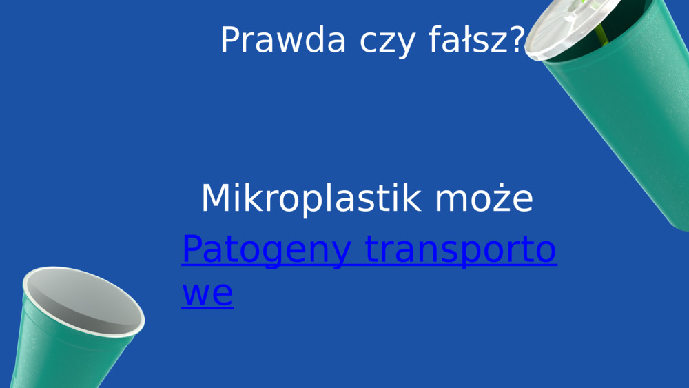 Prawda czy fałsz?