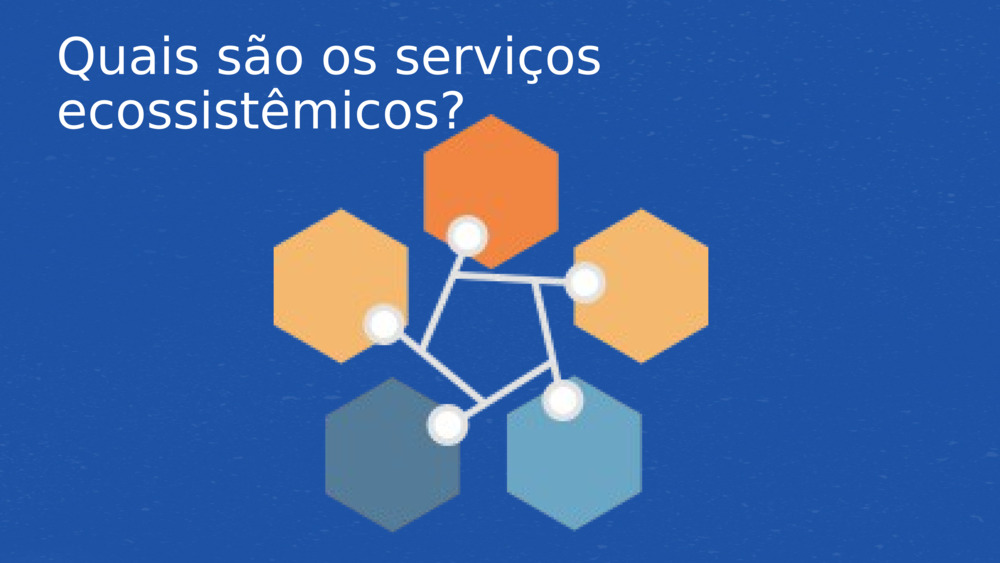 Quais são os serviços ecossistêmicos?