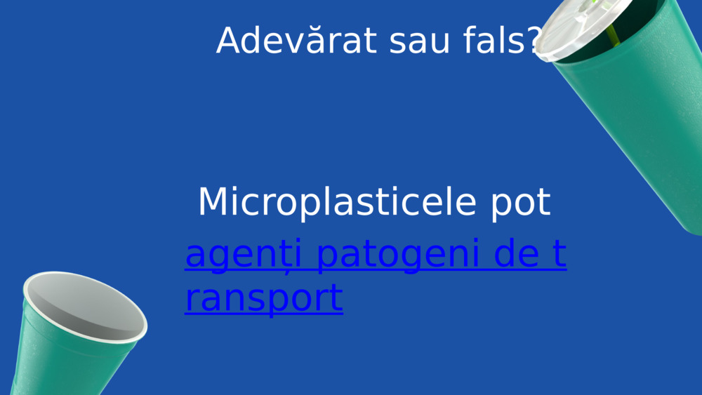 Adevărat sau fals?