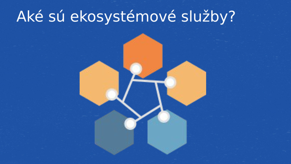 Aké sú ekosystémové služby?