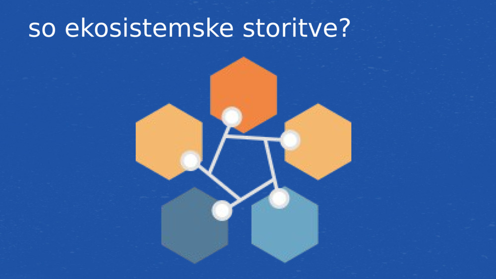 so ekosistemske storitve?