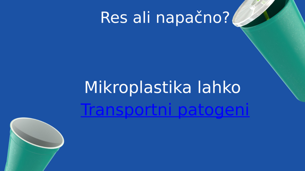 Res ali napačno?