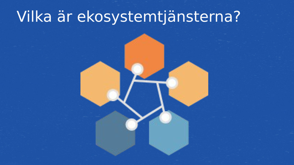 Vilka är ekosystemtjänsterna?