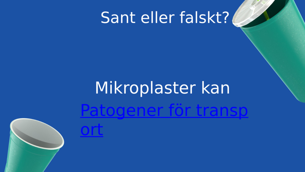 Sant eller falskt?