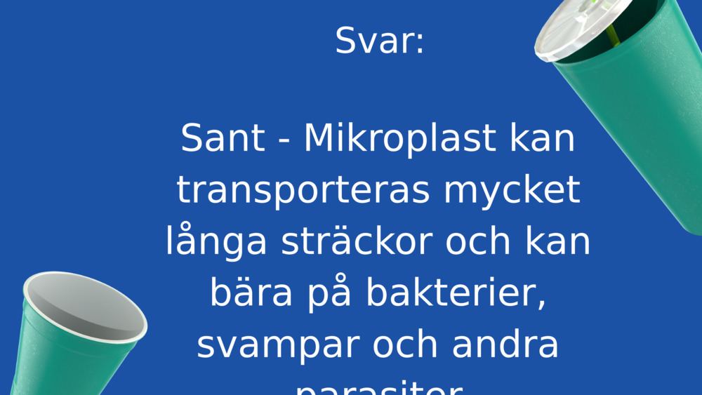 Svar: