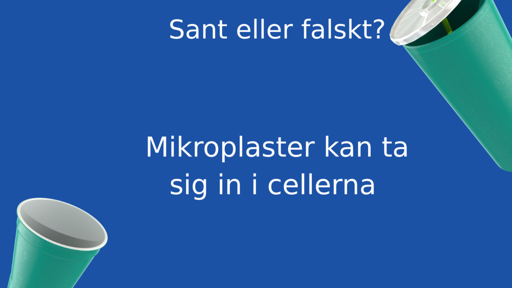 Sant eller falskt?