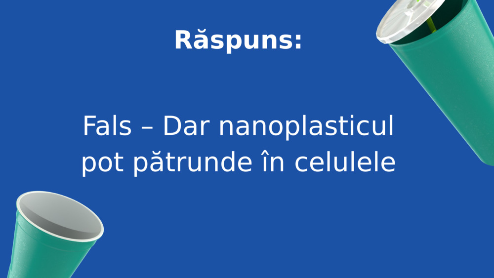 Răspuns