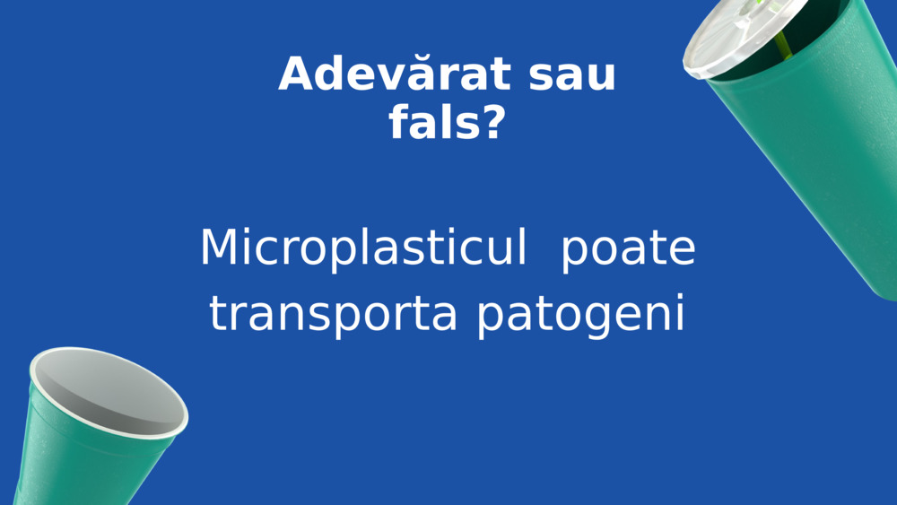 Adevărat