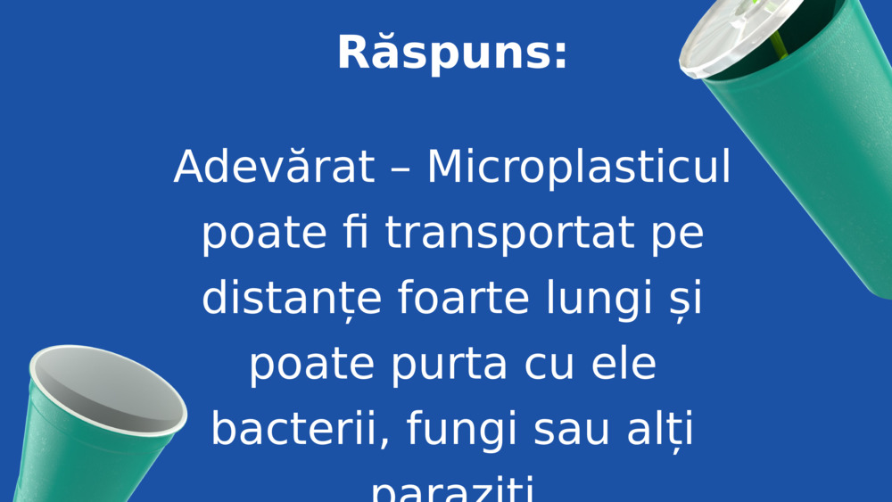 Răspuns