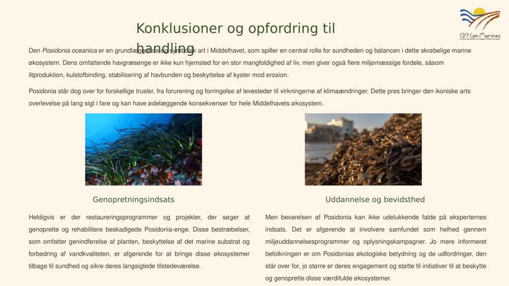 Introduktion til Posidonia oceanica