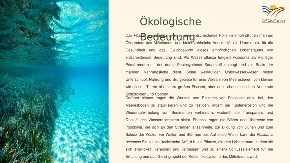 Ökologische Bedeutung