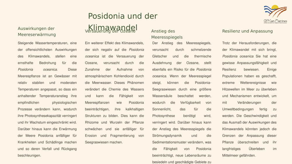 Posidonia und der Klimawandel