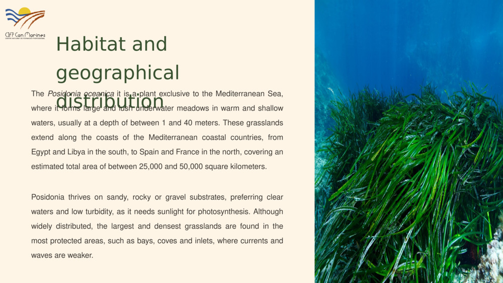 Habitat and geographical distribution