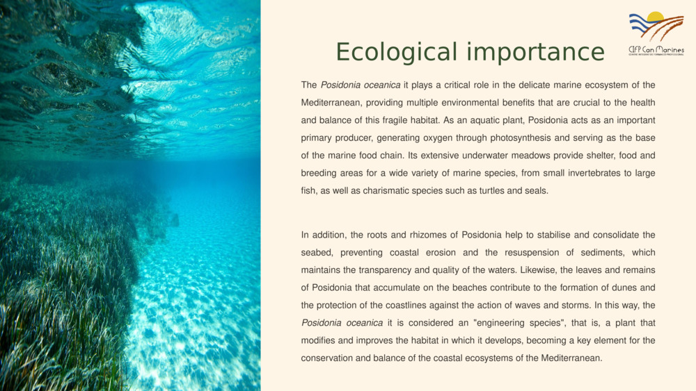 Ecological importance