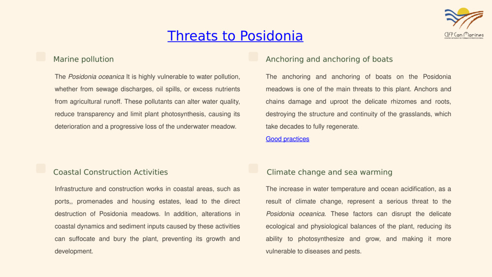 Threats to Posidonia