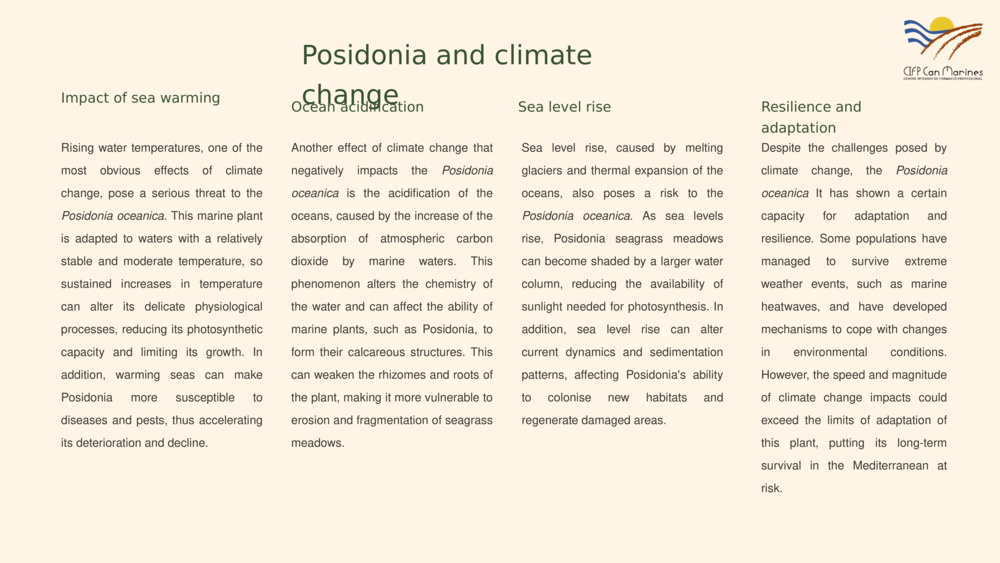 Posidonia and climate change