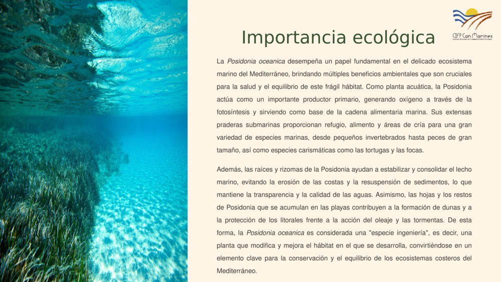 Importancia ecológica