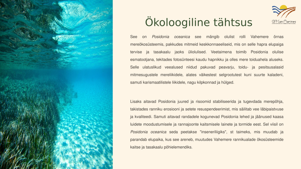 Ökoloogiline tähtsus