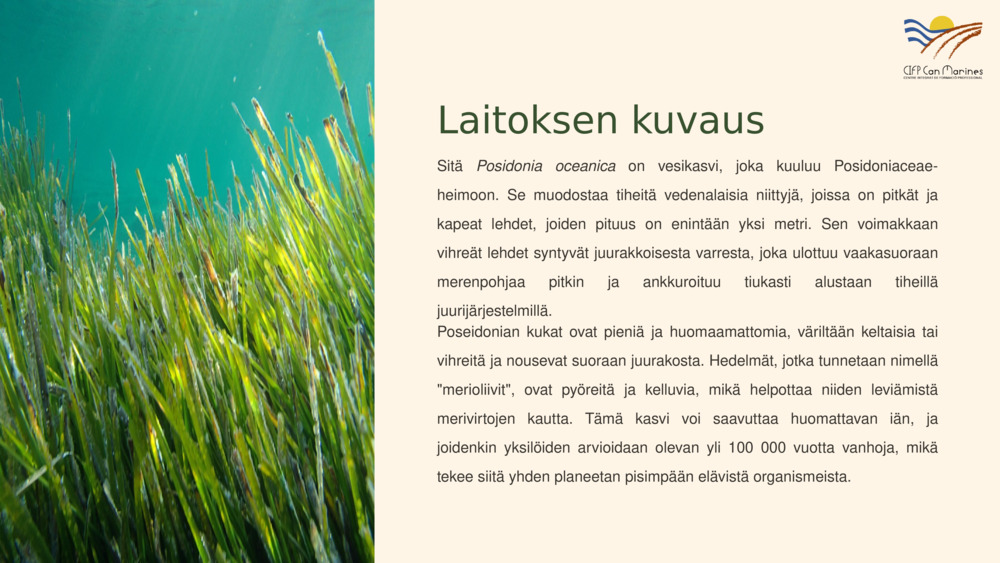 Laitoksen kuvaus