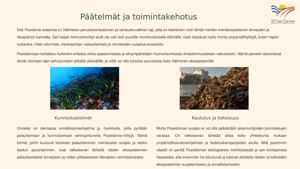 Johdatus Posidonia oceanicaan