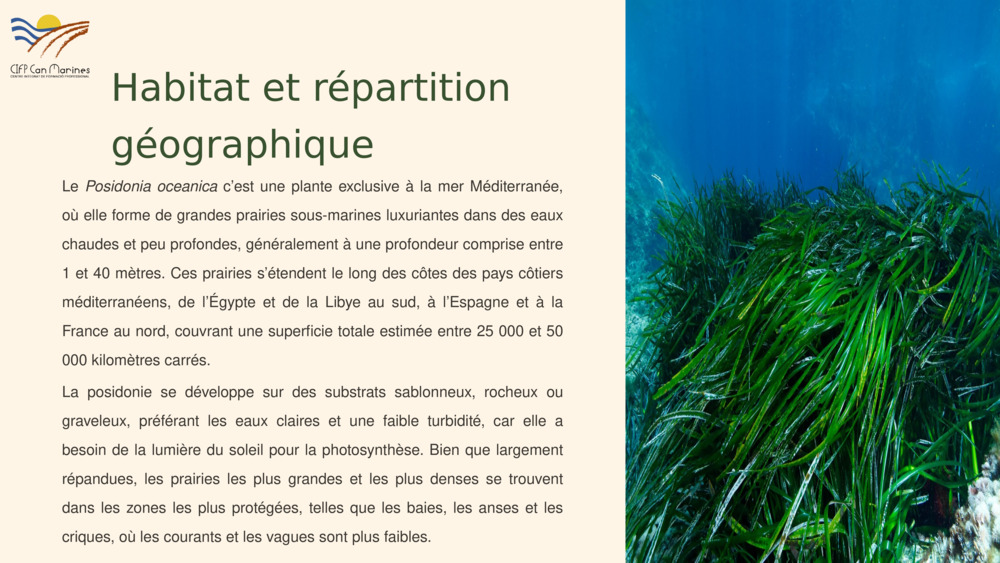 Habitat et répartition géographique