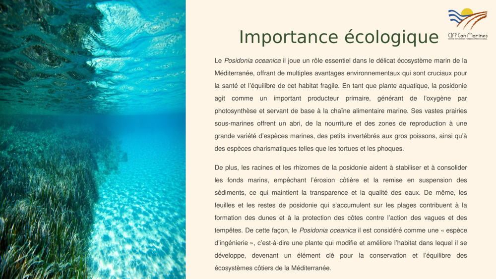 Importance écologique