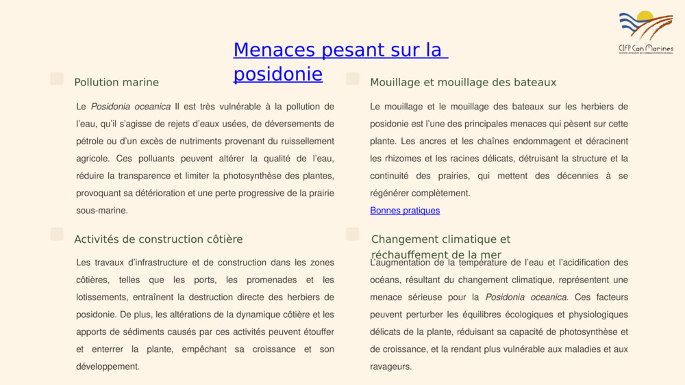 Menaces pesant sur la posidonie