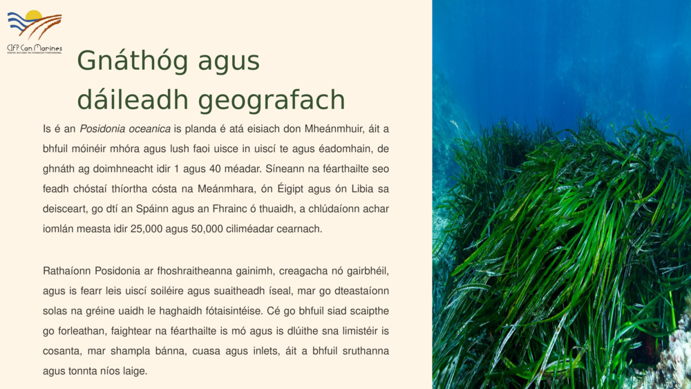 Gnáthóg agus dáileadh geografach