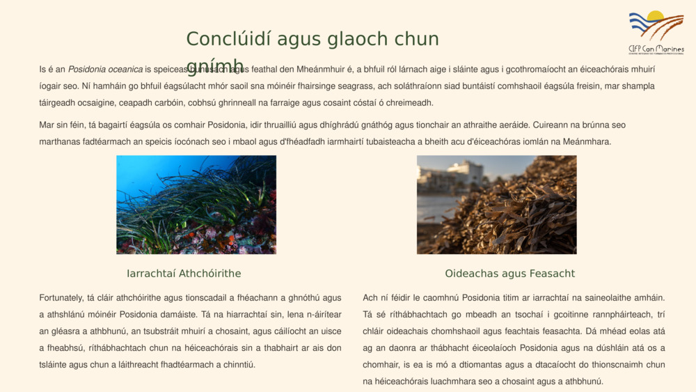 Réamhrá le Posidonia oceanica