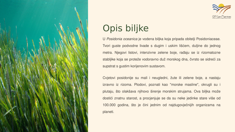 Opis biljke