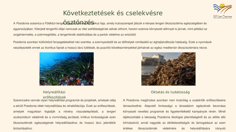 Bevezetés a Posidonia oceanica-ba